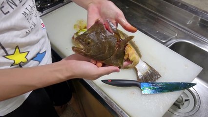 【ノーカット】ヒラメのさばき方【５枚おろし】【皮引き】