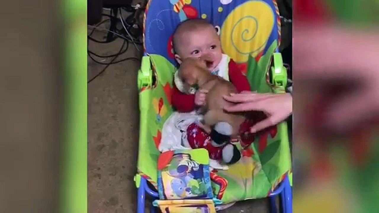 Most Adorable Animal and Baby Compilation 2018 | Funny Pet Videos