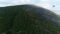 Kastamonu'da Çıkan Orman Yangının Enkazı Havadan Görüntülendi