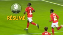 Stade Brestois 29 - Havre AC (1-0)  - Résumé - (BREST-HAC) / 2018-19