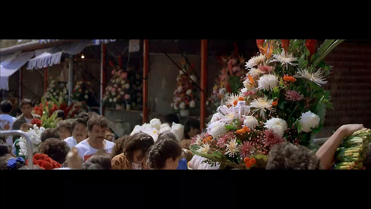 IMAX Amazing Journeys 1999