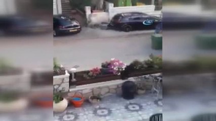 Filistinli Vatandaş Temizlik İşçilerini Güllerle Karşıladı