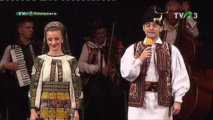 Florin Boita - Lumea asta-i cum o vezi (doina)