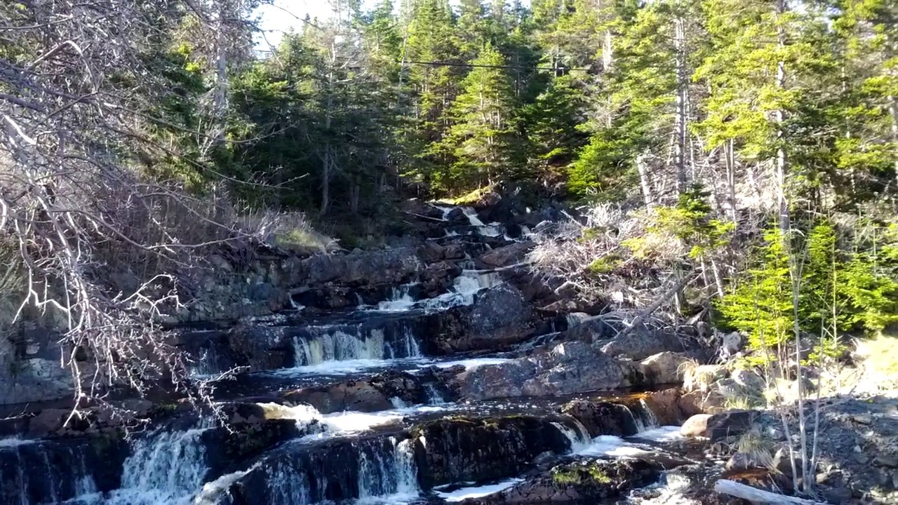 NFLD