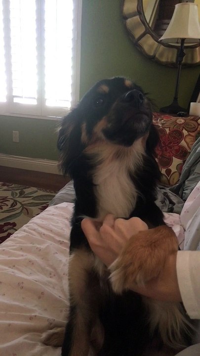 Don't Stop Scratching