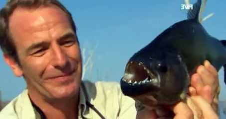 Extreme Fishing with Robson Green S04 - Ep03 Cuba HD Watch