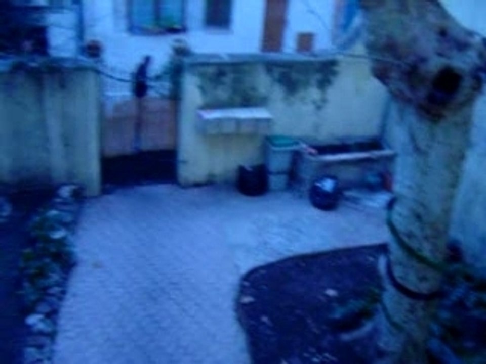 Cour