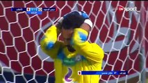 اهداف الاهلي  وحرس الحدود  فى الدورى  المصرى