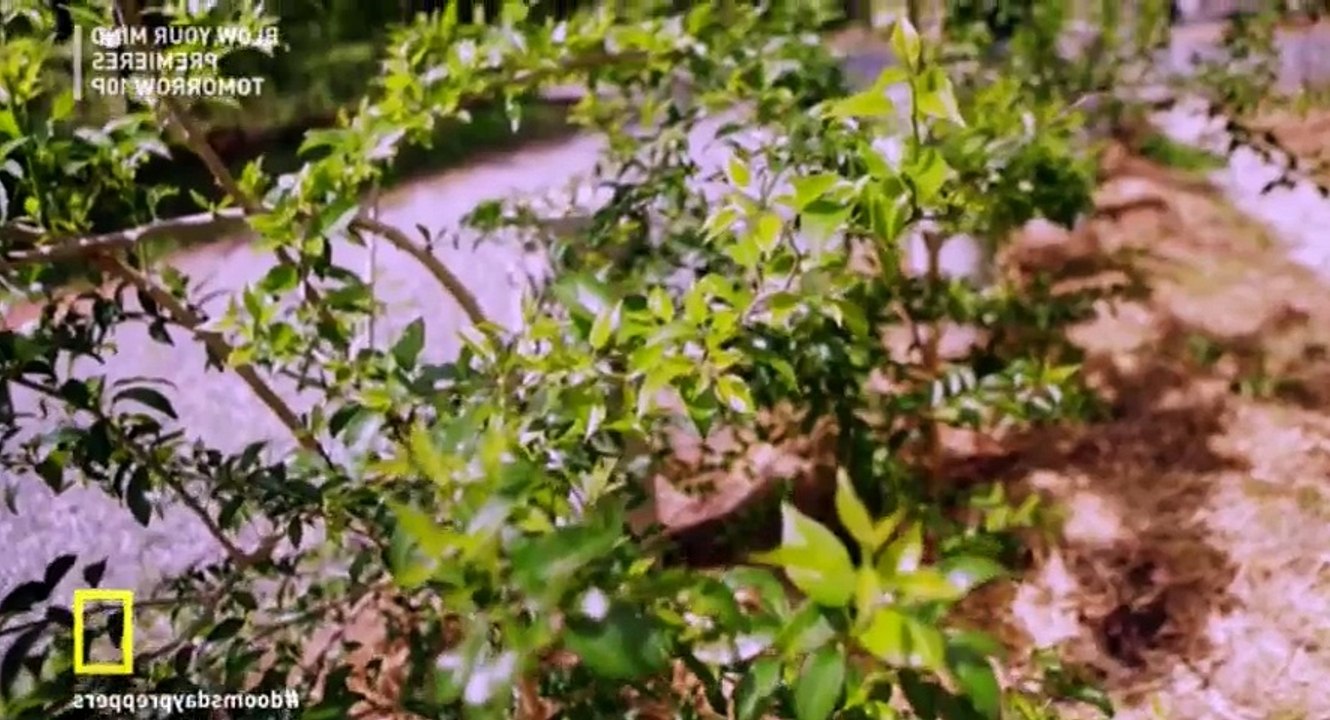 Doomsday Preppers S04 - Ep05 You Said It Was Non-Lethal HD Watch