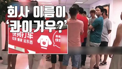 [자막뉴스] "우리가 개?" 화물차 기사들이 분노한 이유 / YTN