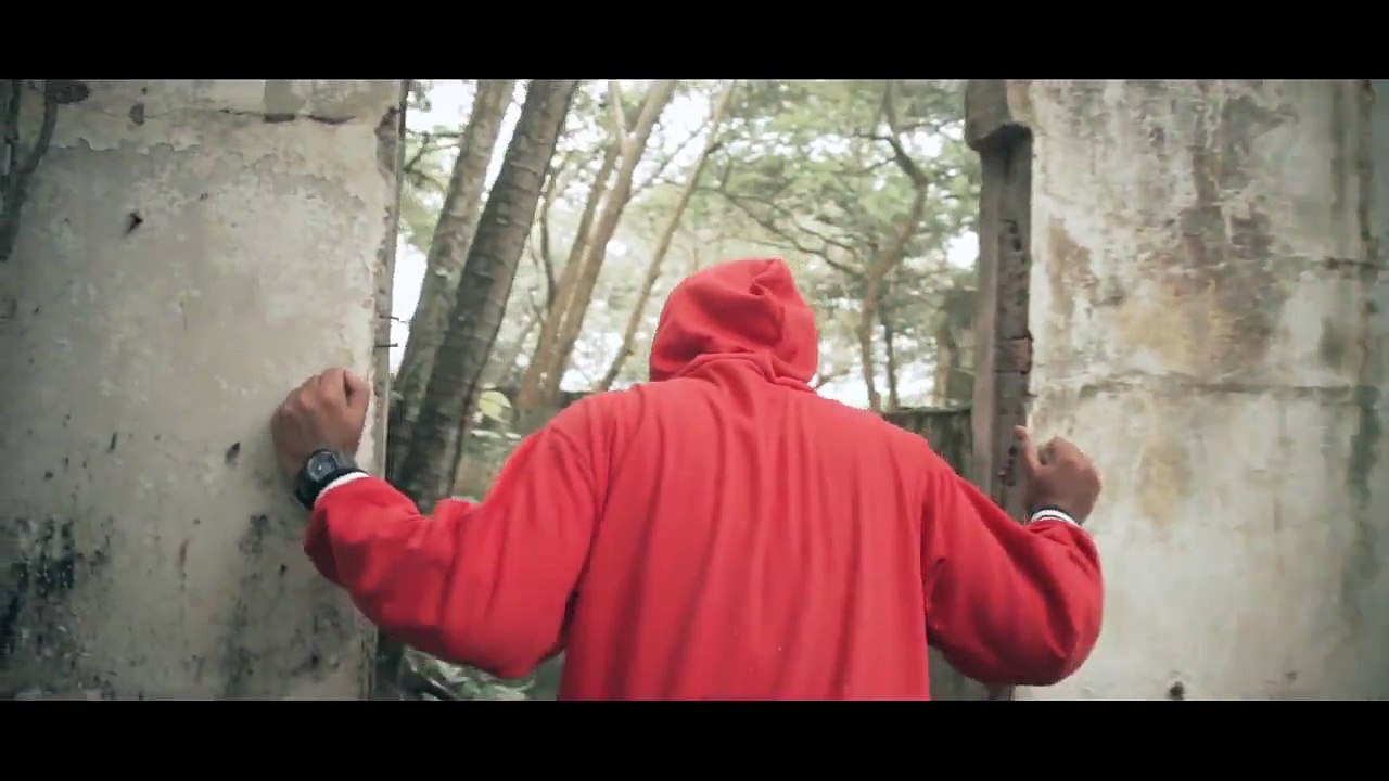 Ya que hoy es un dia de honrar a nuestra fauna tan UNICA. Aca dejamos un videoclip de un artista criollo Gona. (Este video salio ayer)Tema: Arbol.