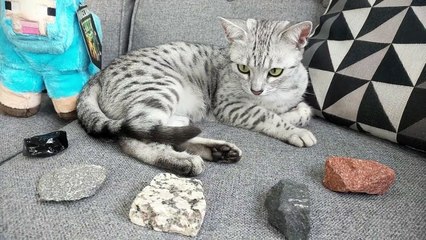 MINECRAFT BLOCKS VS REAL LIFE ROCKS