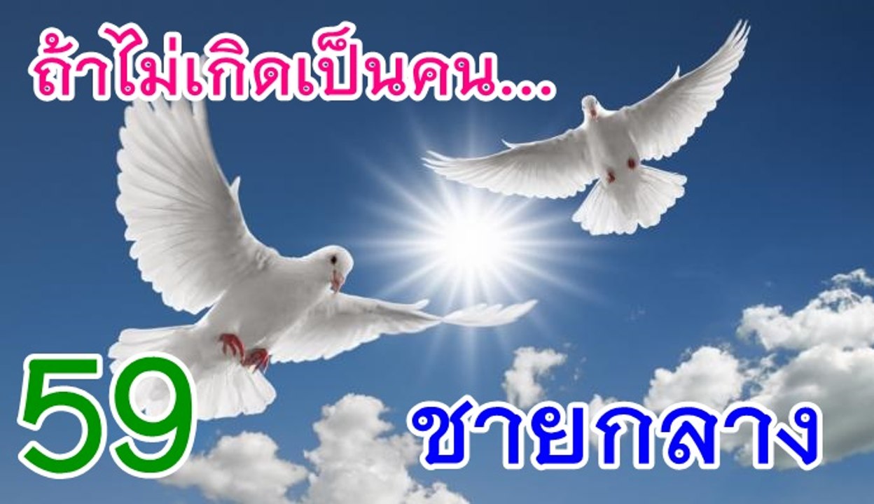 ถ้าไม่เกิดเป็นคน - ชายกลาง การไชยการ