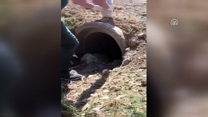 Menfezde 81 kilo 420 gram eroin bulundu - VAN