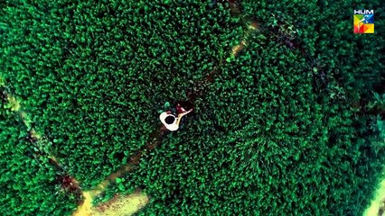 "Aik Larki Aam Si" Full Ost