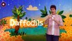 Magic Hands ABC Learn how to sign the alphabet with Magic Hands Cbeebies Video