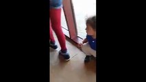 【Video】A hilarious moment was captured when a lion tried to attack a little boy through the glass while a toddler had no inkling of what was going on behind him