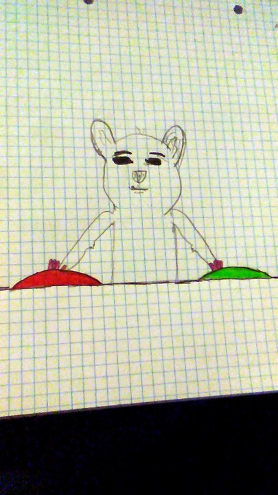animals 2 disegni
