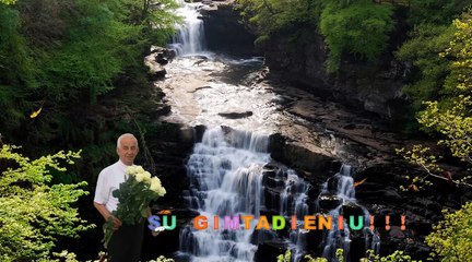 Tetei su Gimtadieniu