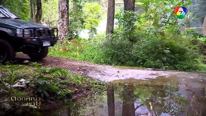 [Ep 1][Part 2/2] ดอกหญ้าในพายุ (Dok Ya Nai Phayu) (18-06-61)