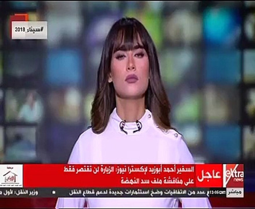 "الخارجية" تنفي وجود علاقة بين زيارة سامح شكري وتصريحات إثيوبيا حول سد النهضة