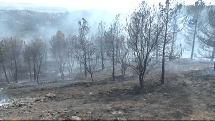 Vatandaşlardan Orman Yangınına Canla Başla Müdahale