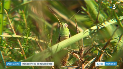 Découverte : randonnées pédagogiques