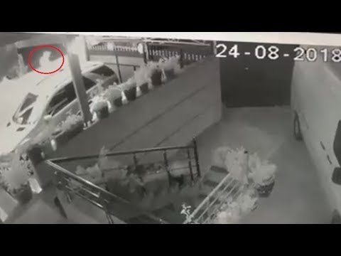 Ora News - Nënkryetarit të bashkisë Mallakastër ia dogjën makinën, Alibeaj akuza policisë