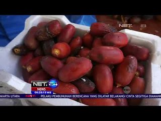 Jemaah Padati Pasar Kurma Madinah #NETHaji2018-NET24