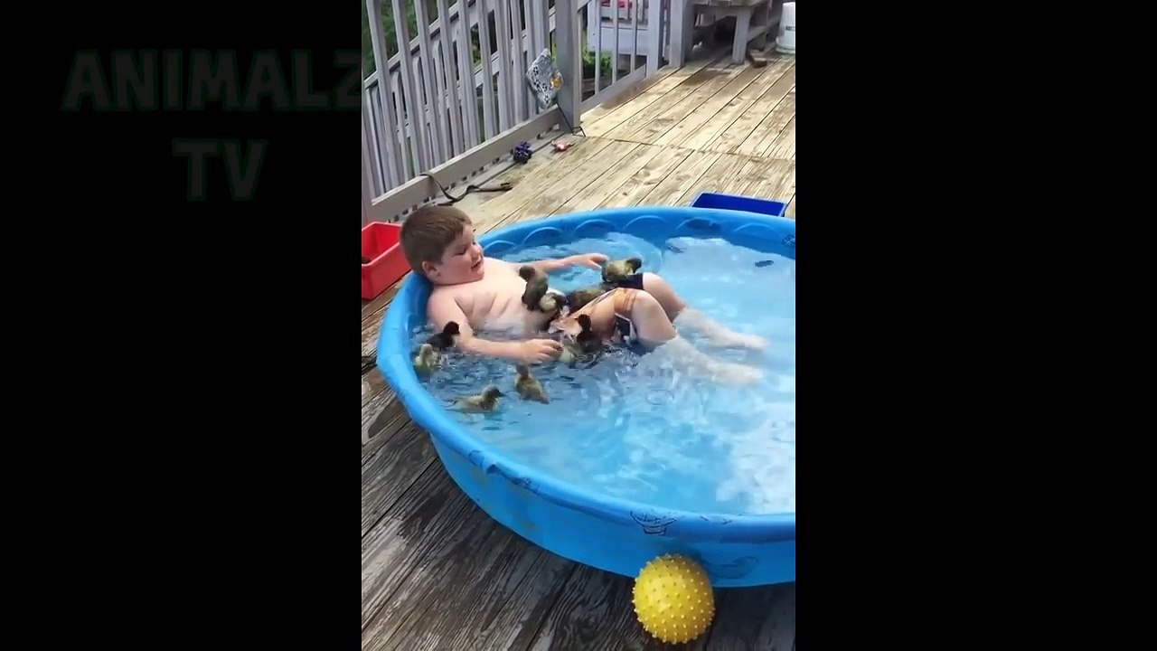 Compilation des bébés et animaux les plus drôles