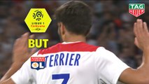 But Martin TERRIER (42ème) / Olympique Lyonnais - RC Strasbourg Alsace - (2-0) - (OL-RCSA) / 2018-19