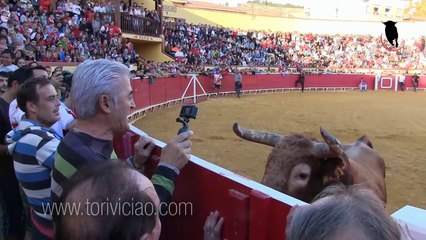 Il chante pour amadouer un taureau... Pas très efficace