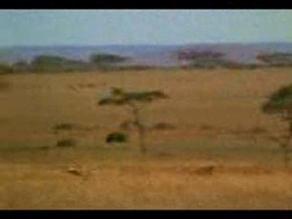 Hombre corre mas que un leopardo