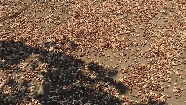 Фисташковый кризис