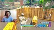 SWITCHING TEAMS SO NOOB CAN'T KILL ME IN 1V1 PLAYGROUND MODE ON FORTNITE! (Funny Fortnite Trolling)