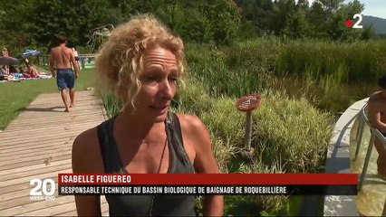 Piscines : la vague des bassins écologiques