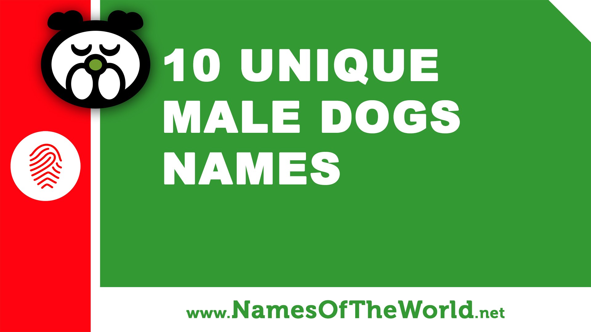 unique names for dogs