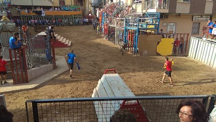 FIESTAS BORRIOL 2018 TOROS CASTELLON