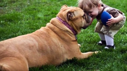 Woman Adopts A Tiny Puppy But Is Stunned At What It Grows Up To Be