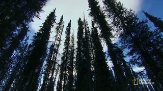 Klondike Trappers - S1 - E4 - Warm Weather - Deadly Conditions - Jan 28, 2016