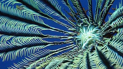 How The Earth Was Made S02E08 Everest