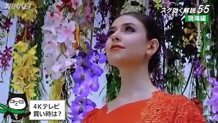 ４Kテレビ　買い時は？（スグ効く解説現場編）