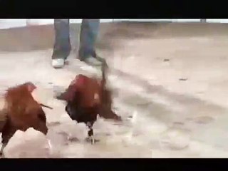 UN DESCONOCIDO .PELICULA SICARIA .. COMPLETITA .. MOVI0003 part 1/3 part 2/2