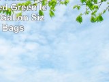 Lipton 100 Natural Fresh Brewed Green Iced Tea 24 Gallon Size Tea Bags