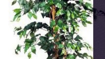 Top 10 Unique Home Decor [2018 ] Nearly Natural 5209 Ficus Silk Tree, 6-Feet, Green