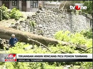 Download Video: Badai dan Angin Kencang Akibatkan Sejumlah Pohon Tumbang di Tiongkok