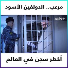 "الدولفين الأسود"  أخطر سجن في العالم.. الطريقة الوحيدة للفرار من هنا هي "الموت"