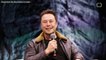 Azaelia Banks Debacle Leads Elon Musk To Delete His Instagram Account