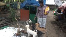 Mulher em cidade inundada recusa resgate para ficar com seus 25 cães