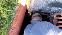 Kindhearted Sergeant Saves Duckling From Storm Drain